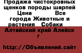 Продажа чистокровных щенков породы шарпей › Цена ­ 8 000 - Все города Животные и растения » Собаки   . Алтайский край,Алейск г.